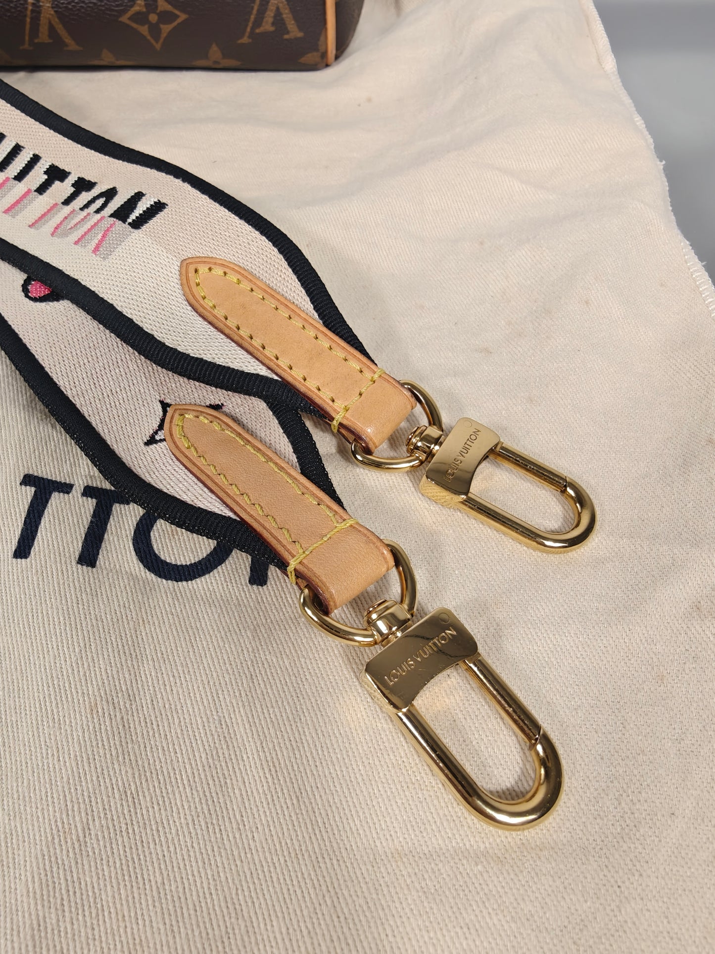 Louis Vuitton Speedy 20 — Monogram