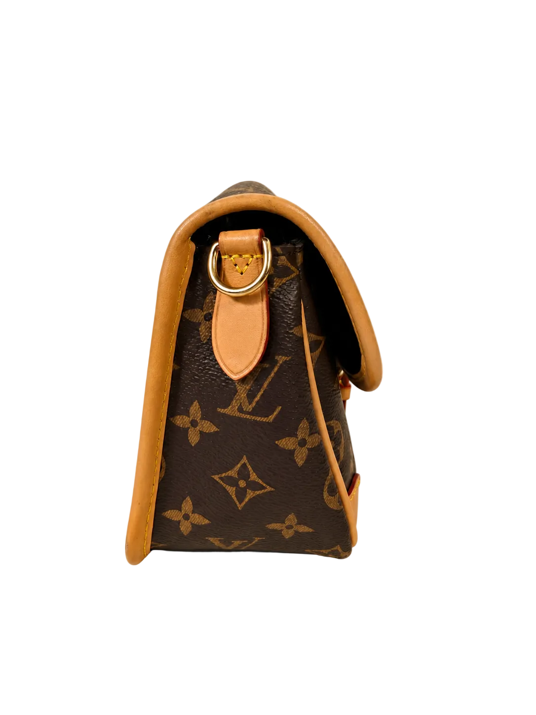 Louis Vuitton Diane Bag — Monogram Canvas / Vachetta Leather