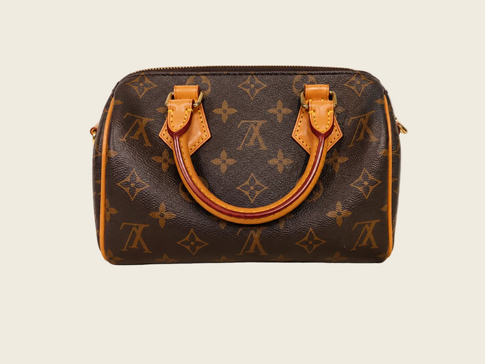 Louis Vuitton Speedy 20 — Monogram Canvas / Vachetta Leather