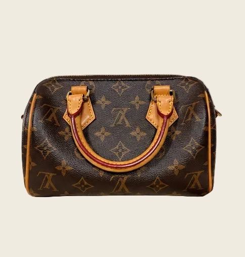 Louis Vuitton Speedy 20 — Monogram