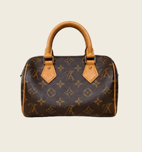 Louis Vuitton Speedy 20 — Monogram