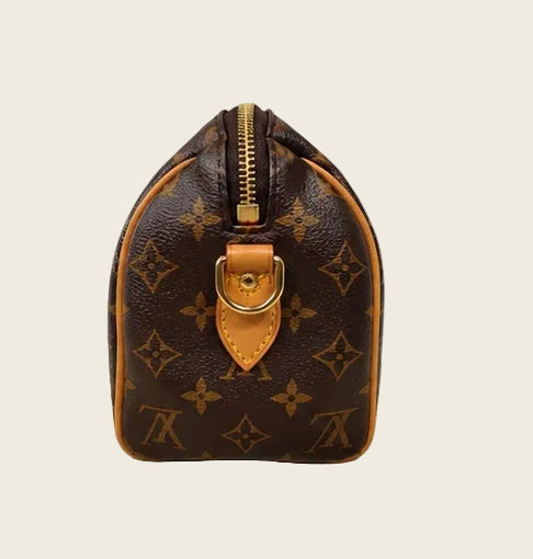 Louis Vuitton Speedy 20 — Monogram