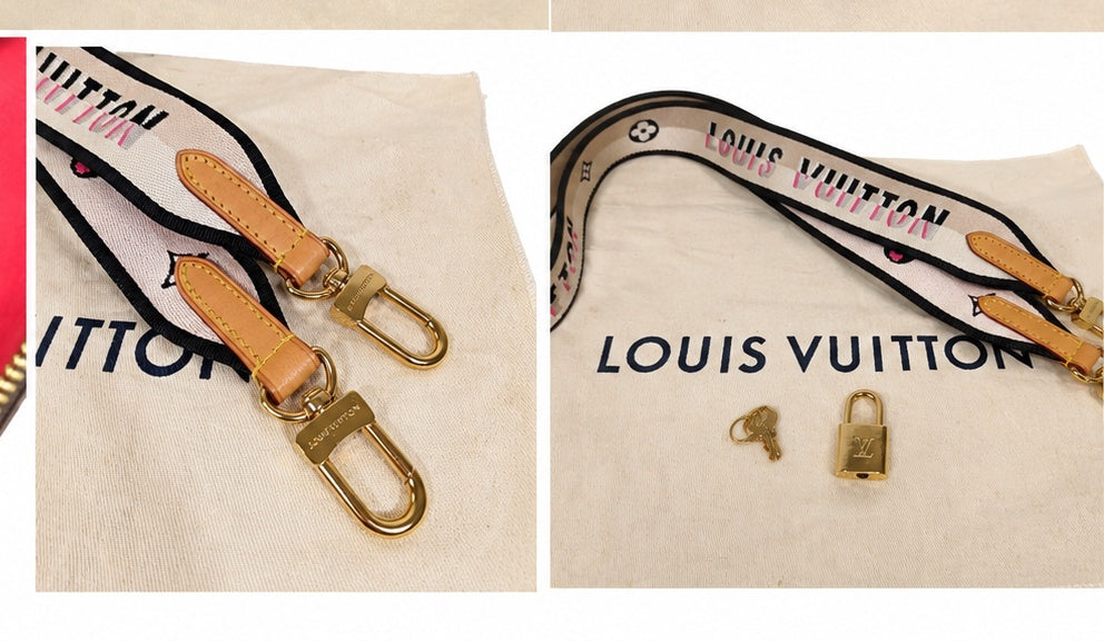 Louis Vuitton Speedy 20 — Monogram